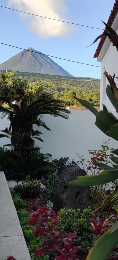 Casa Da Avo Biza Villa São Roque do Pico Exteriör bild