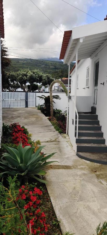 Casa Da Avo Biza Villa São Roque do Pico Exteriör bild